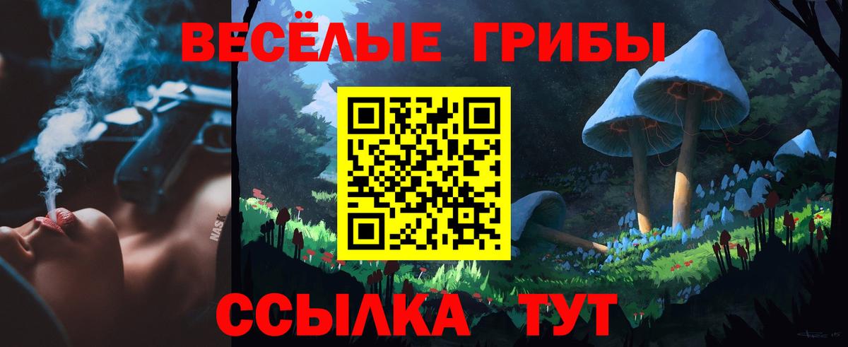 цены   Псилоцибиновые грибы MAGIC MUSHROOMS  Вход с VPN  Псилоцибиновые грибы GOLDEN TEACHER  Мелеуз 